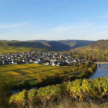 Wein & Gastehaus Hermeshof Otel Trittenheim Dış mekan fotoğraf