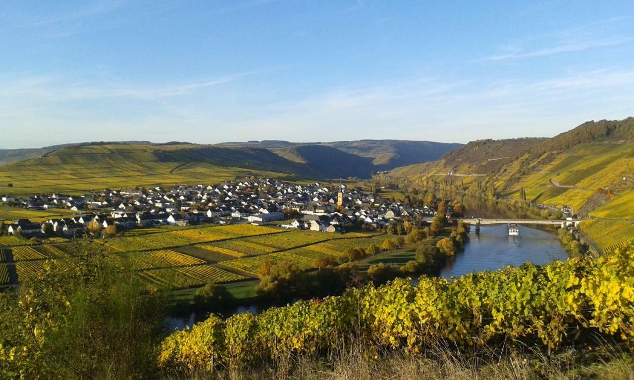 Wein & Gastehaus Hermeshof Otel Trittenheim Dış mekan fotoğraf