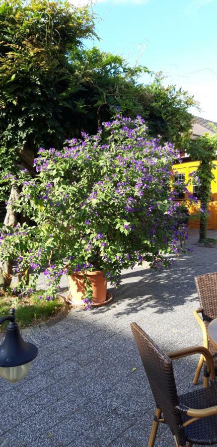 Wein & Gastehaus Hermeshof Otel Trittenheim Dış mekan fotoğraf
